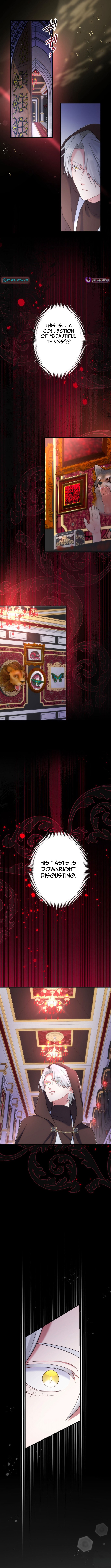 The Abandoned Great Saint Is Doted On by an Elf and Returns to Her Homeland Chapter 10 Page 1