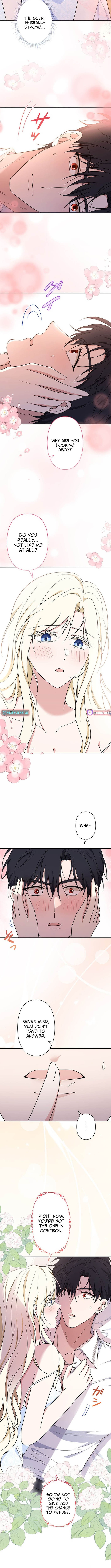 The Enemy King's Substitute Bride Chapter 11 Page 1