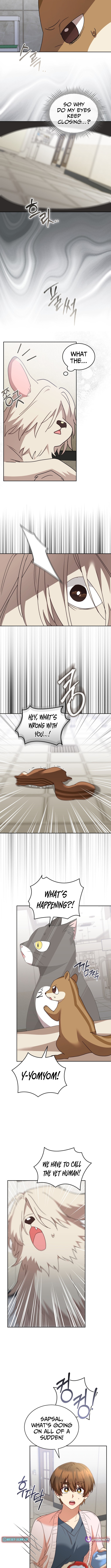 Hello, Veterinarian! Chapter 109 Page 1