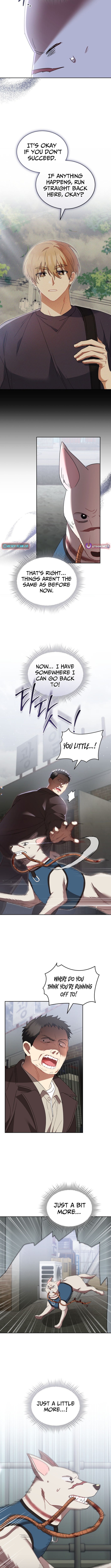Hello, Veterinarian! Chapter 118 Page 1