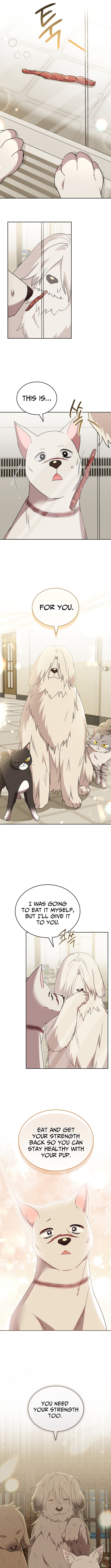 Hello, Veterinarian! Chapter 116 Page 1