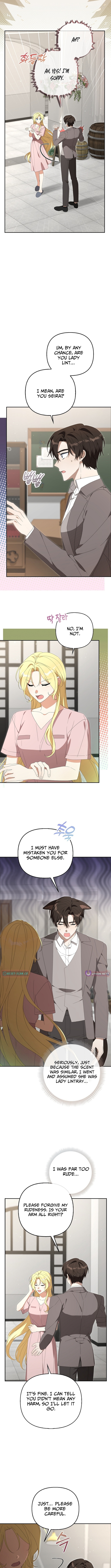 Between Your Letter and My Reply Chapter 17 Page 1