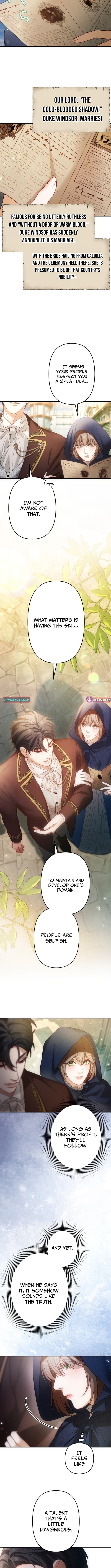 A Widowed Queen's Devotion For Love Chapter 12 Page 1