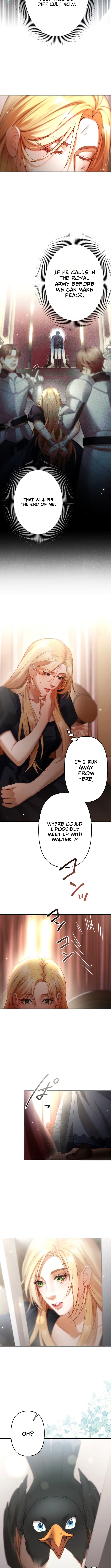 A Widowed Queen's Devotion For Love Chapter 05 Page 1