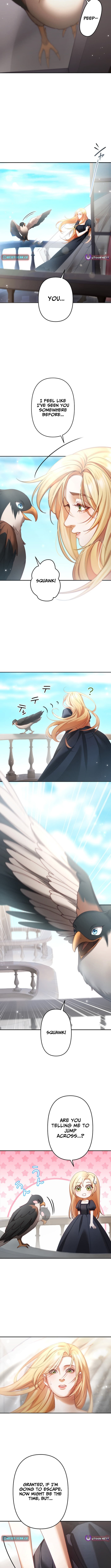 A Widowed Queen's Devotion For Love Chapter 05 Page 1