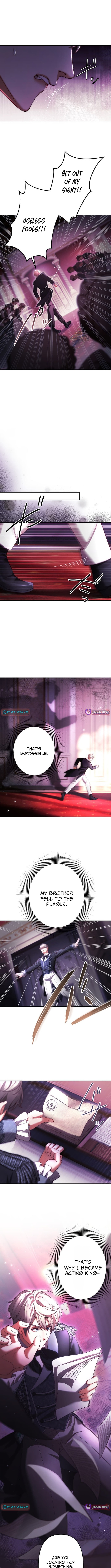 A Widowed Queen's Devotion For Love Chapter 13 Page 1