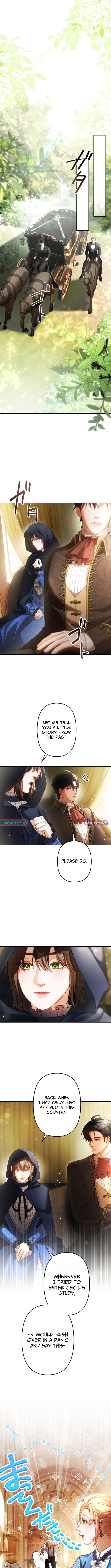 A Widowed Queen's Devotion For Love Chapter 11 Page 1