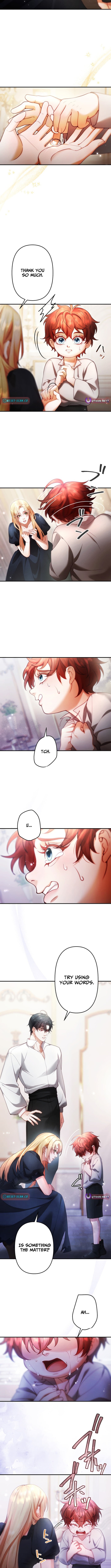 A Widowed Queen's Devotion For Love Chapter 06 Page 1