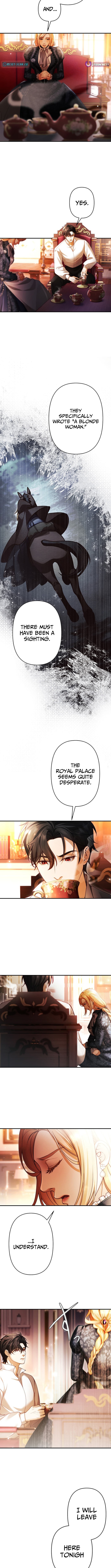 A Widowed Queen's Devotion For Love Chapter 08 Page 1