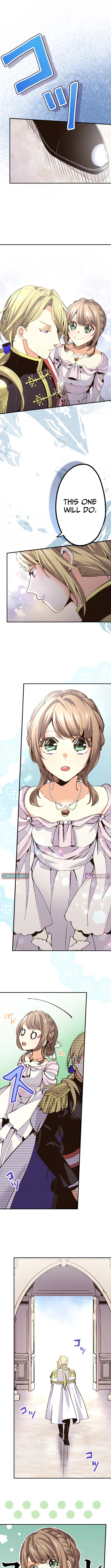 The Small Animal Chapter Type Lady Is Doted On by the Ice Prince - Chapter 04 Page 1